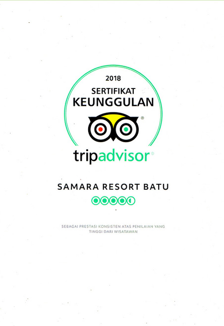 TripAdvisor Award